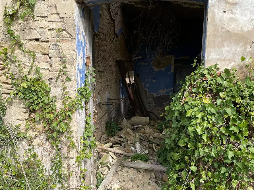 Immagine 42 di Rustico / casale in vendita  in C.DA CASTELLANA a Treglio