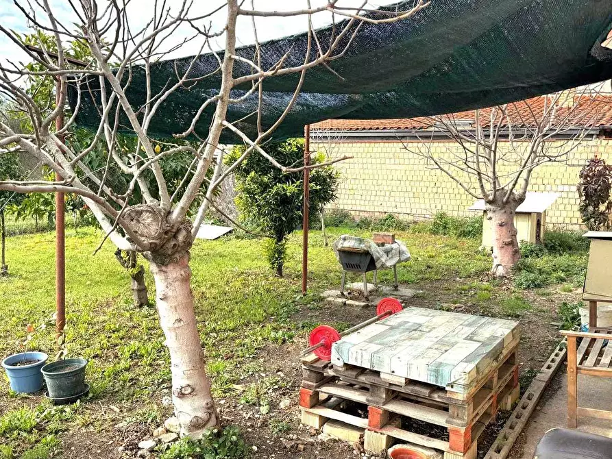 Immagine 26 di Terratetto in vendita  in Contrada da Cona 34 a San Vito Chietino