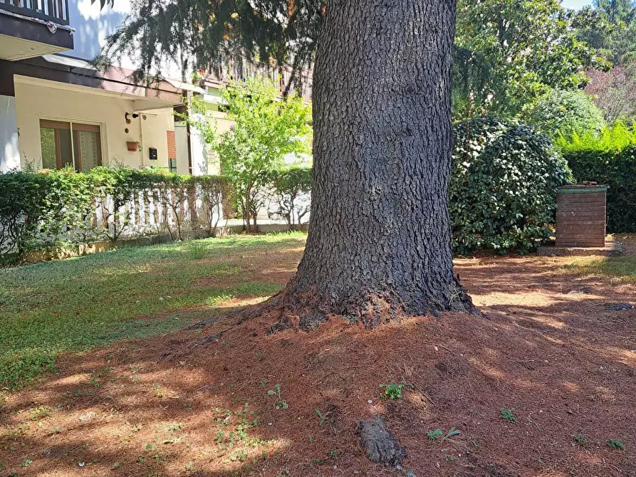 Immagine 51 di Pentalocale in vendita  in Via Martiri VI Ott. 73A a Lanciano