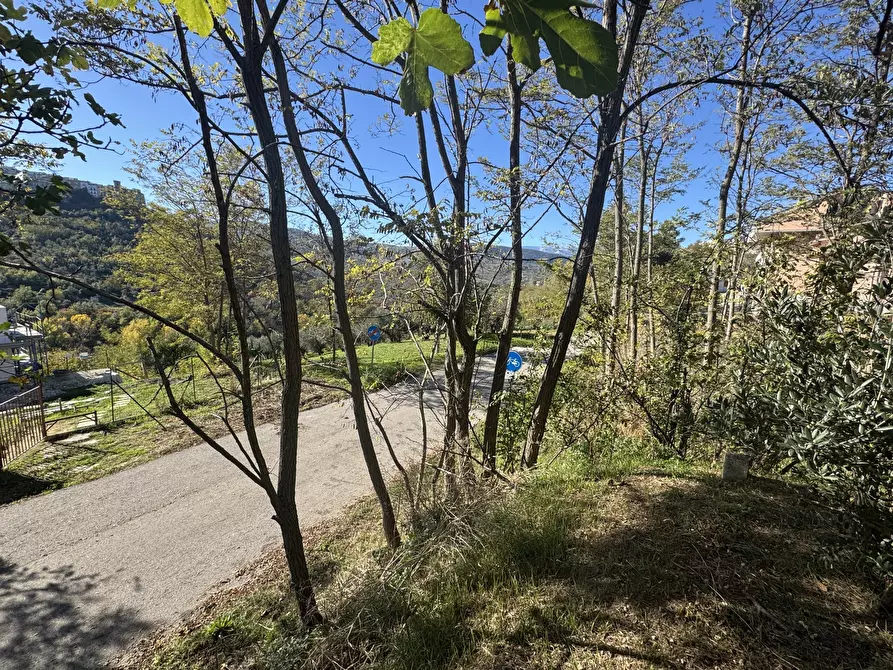 Immagine 6 di Rustico / casale in vendita  a Atessa