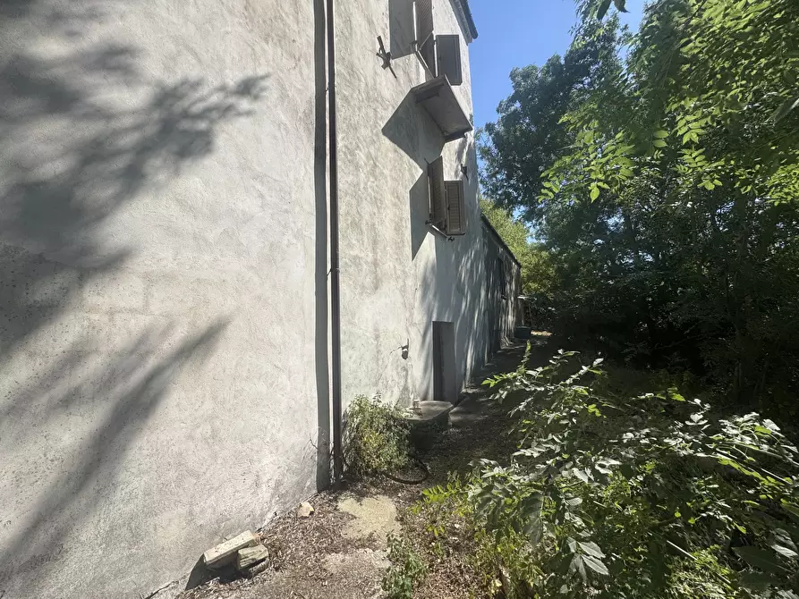 Immagine 28 di Casa indipendente in vendita  in torricchio a Tornareccio
