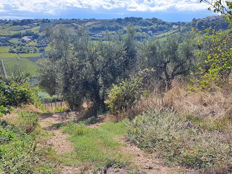 Immagine 61 di Casa indipendente in vendita  in COLLE DELLA FONTE 94 a Frisa