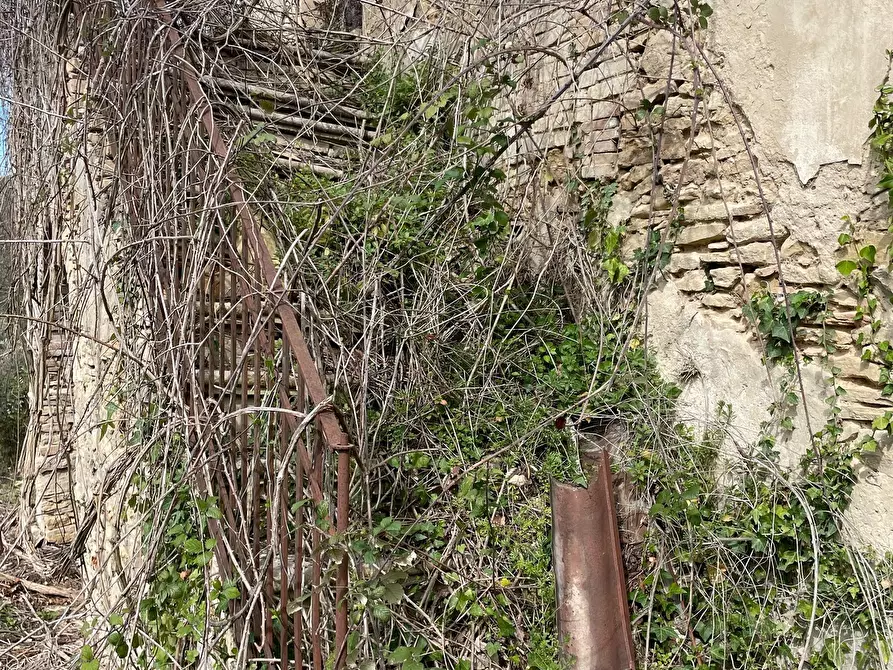 Immagine 52 di Rustico / casale in vendita  in C.DA CASTELLANA a Treglio