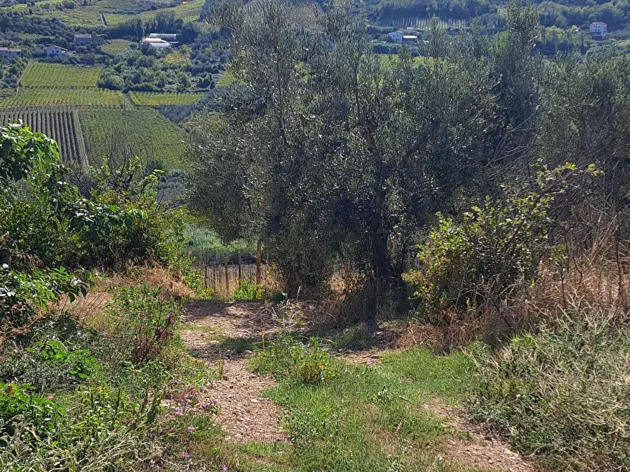 Immagine 52 di Casa indipendente in vendita  in COLLE DELLA FONTE 94 a Frisa