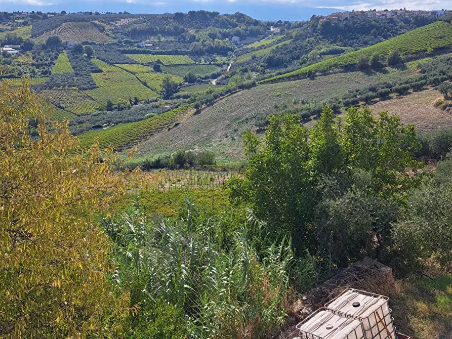 Immagine 55 di Casa indipendente in vendita  in COLLE DELLA FONTE 94 a Frisa