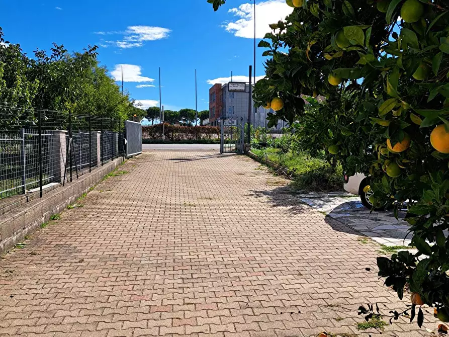 Immagine 24 di Ufficio in vendita  in VIA PER LANCIANO 52 a Santa Maria Imbaro