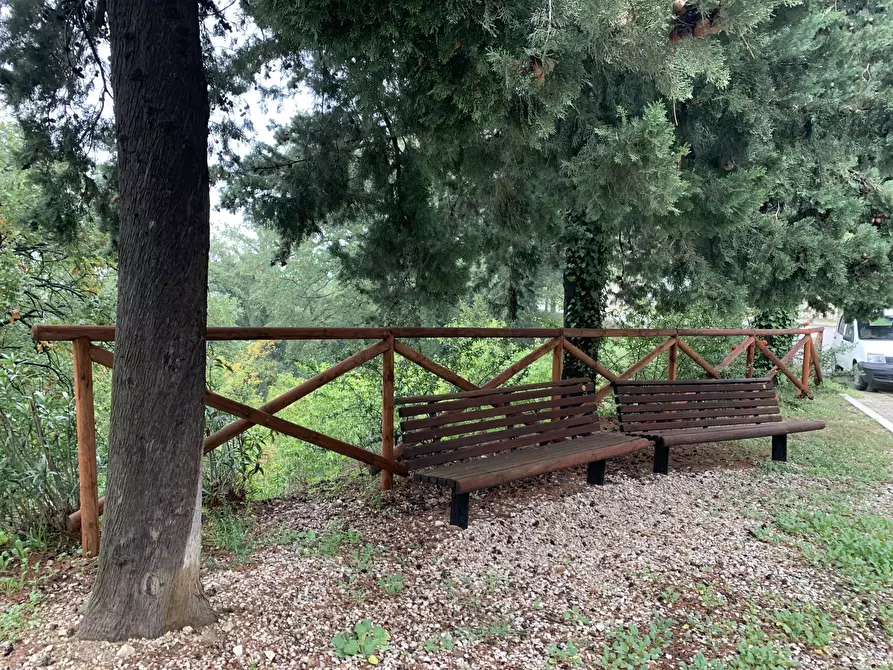 Immagine 17 di Rustico / casale in vendita  a Altino