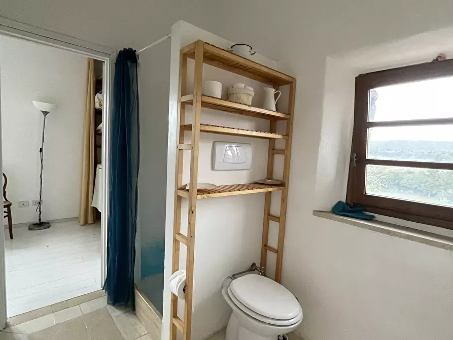 Immagine 21 di Rustico / casale in vendita  in Via della Sassetta a Castagneto Carducci