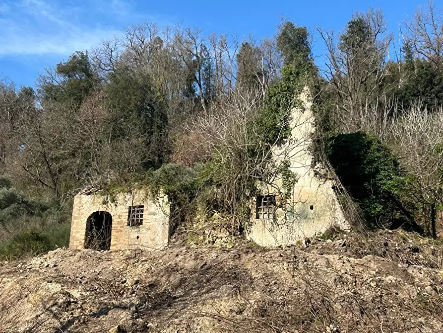 Immagine 10 di Terreno agricolo in vendita  in Via delle Grotte 1521 a Morlupo