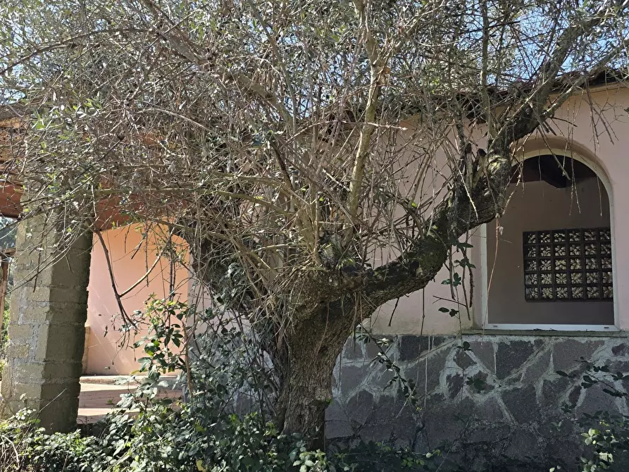 Immagine 36 di Rustico / casale in vendita  in Via Enrico Fermi 10 a Morlupo