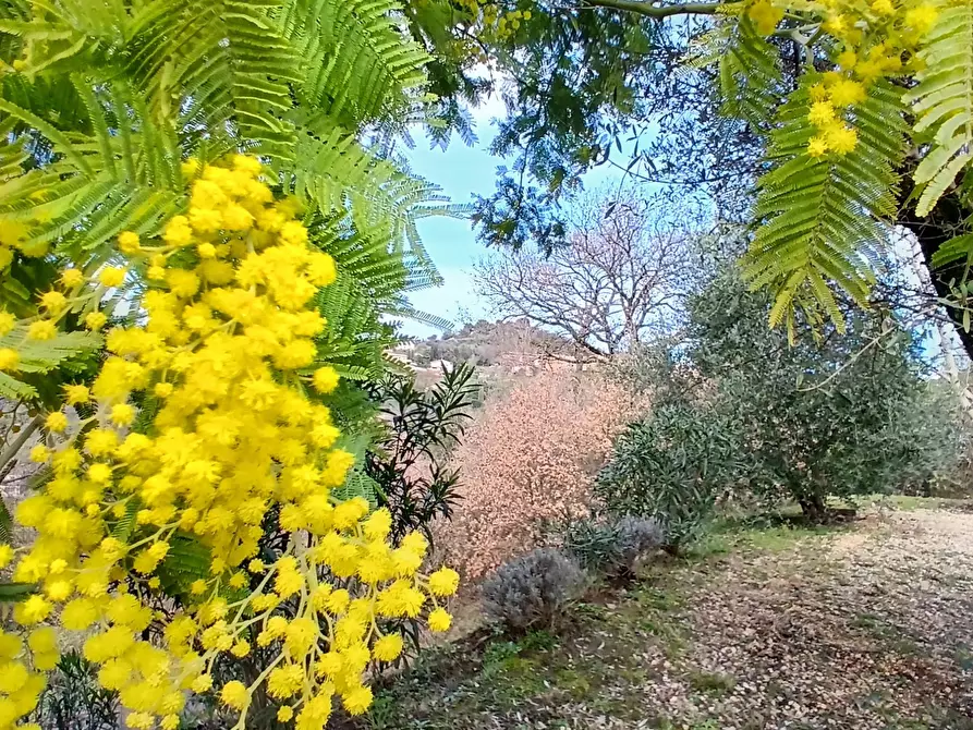 Immagine 64 di Villa in vendita  in Via Monte la Pera 22 a Castelnuovo Di Porto