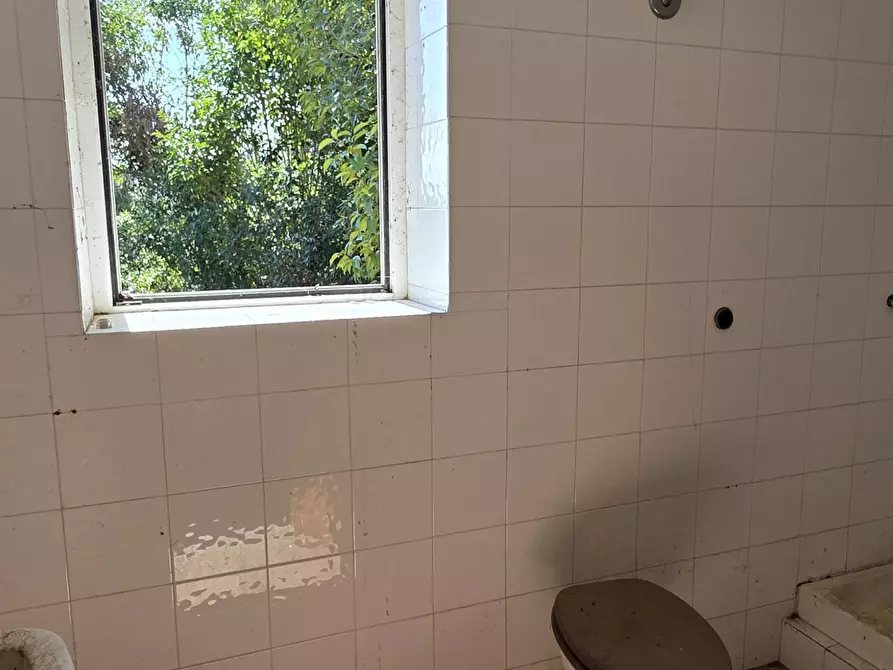 Immagine 30 di Terreno agricolo in vendita  in Via Enrico Fermi 13 a Morlupo