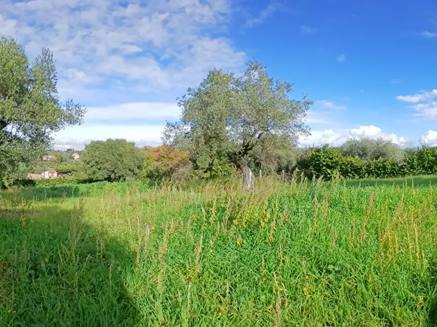 Immagine 12 di Terreno edificabile in vendita  in Via Enzo Ferrari 5 a Morlupo