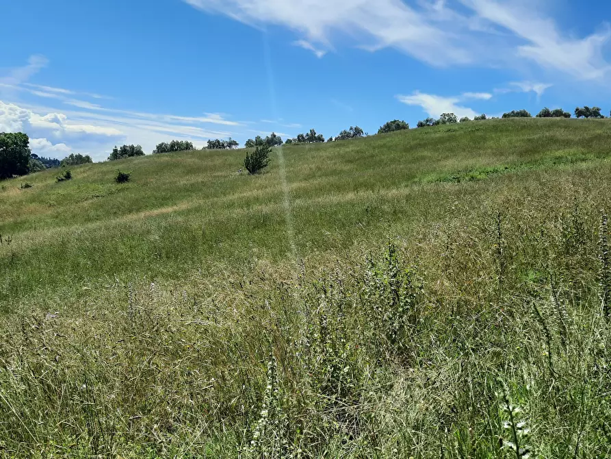 Immagine 2 di Terreno agricolo in vendita  in Via delle Grotte 2920 a Morlupo