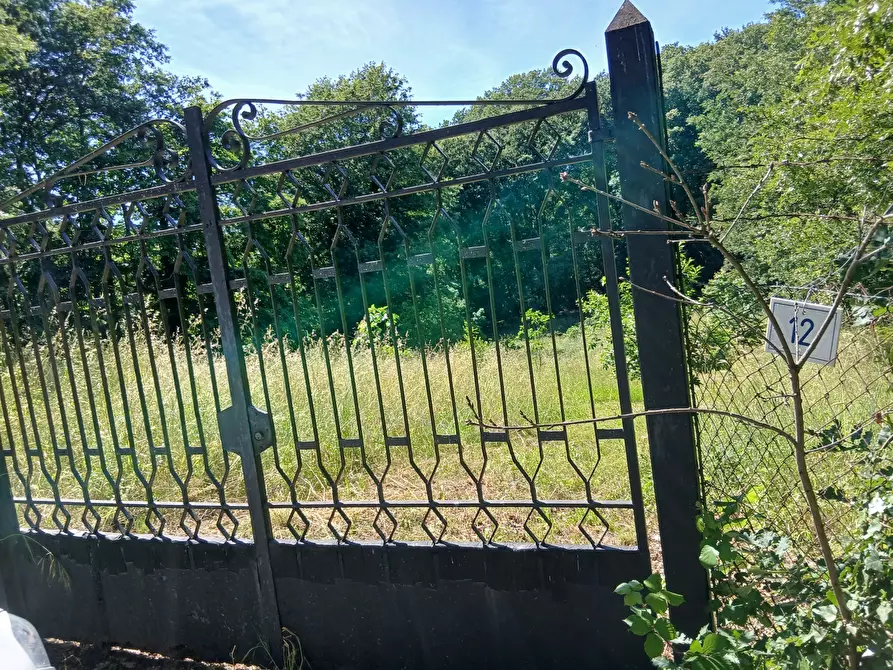 Immagine 2 di Terreno agricolo in vendita  in Via delle Querce a Manziana