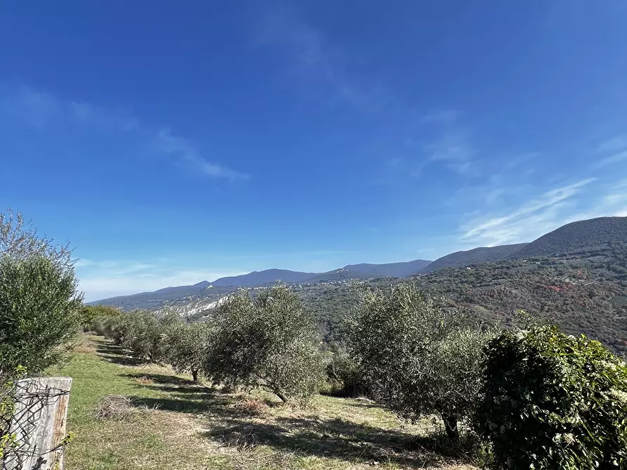Immagine 86 di Rustico / casale in vendita  in Vocabolo Pupiglian 1 a Guardea