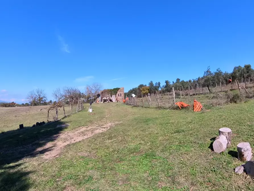 Immagine 21 di Villa in vendita  in Strada Comunale Campo Maggiore 10 a Rignano Flaminio