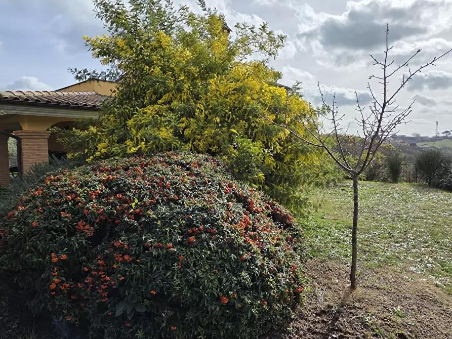 Immagine 65 di Villa in vendita  in Via Aldo Moro 889 a Morlupo