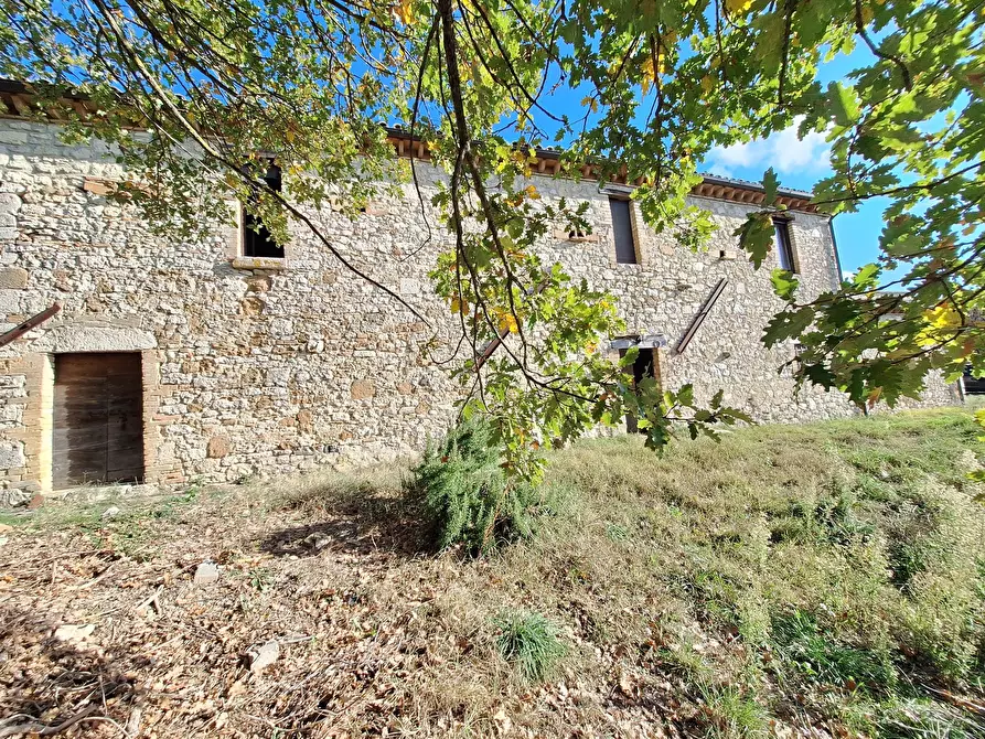 Immagine 123 di Rustico / casale in vendita  in Vocabolo Pupiglian 1 a Guardea