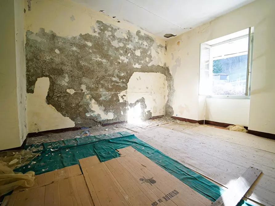 Immagine 13 di Terratetto in vendita  a Tornolo