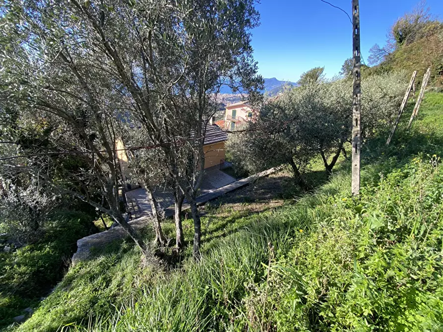 Immagine 41 di Casa indipendente in vendita  a Cogorno