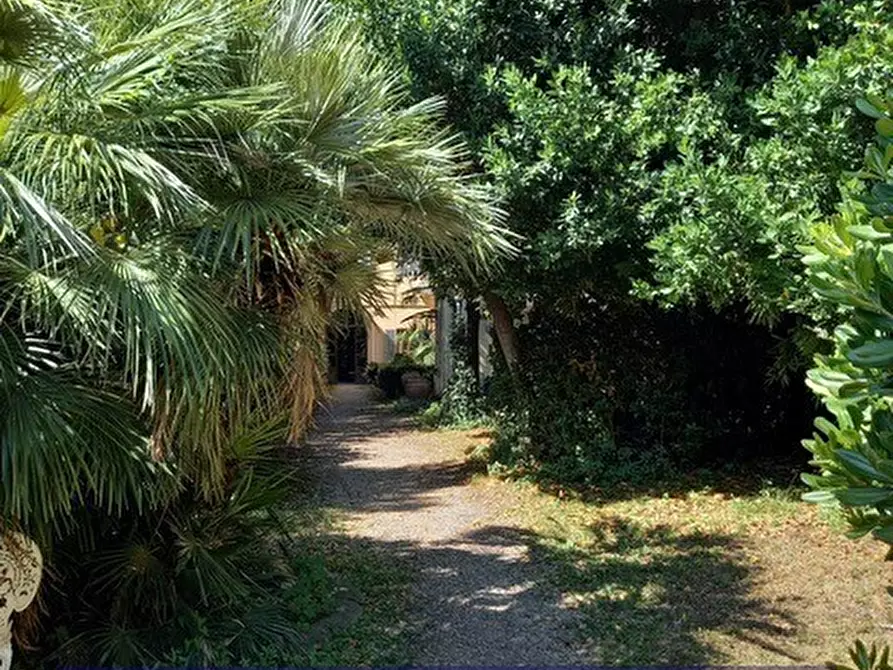 Immagine 6 di Monolocale in affitto  in Piazza della Santissima Annunziata a Firenze