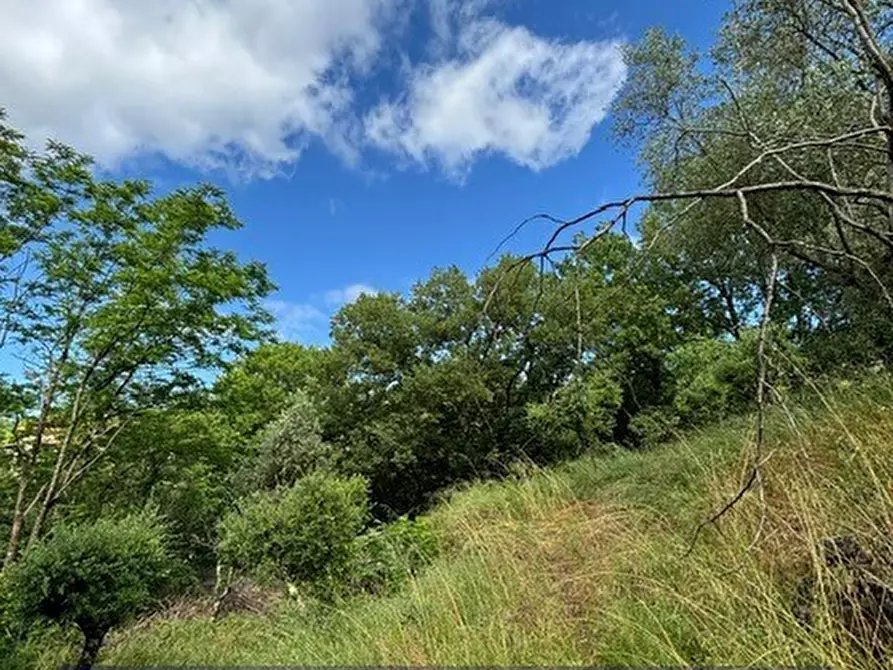 Immagine 3 di Terreno industriale in vendita  in Via degli Imberta a Londa