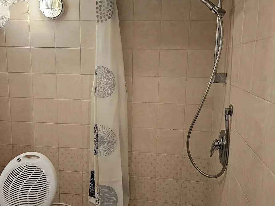 Immagine 5 di Monolocale in affitto  in Via del Giglio a Firenze