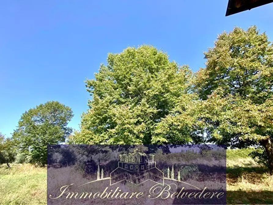 Immagine 7 di Rustico / casale in vendita  in Località Borgo a Cascia 230 a Reggello