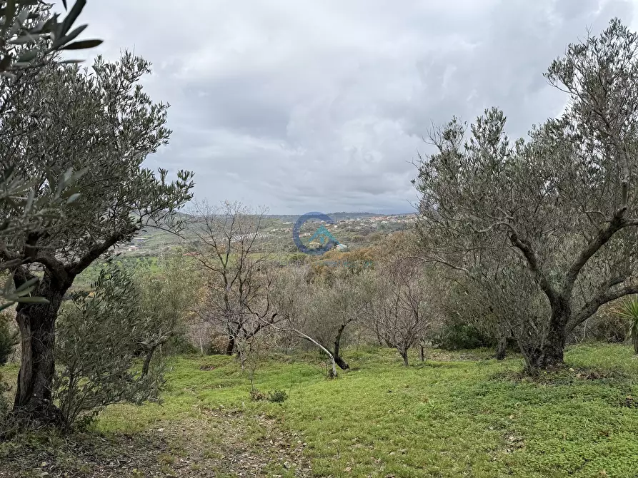 Immagine 4 di Villa in vendita  in Via Codella a Settingiano