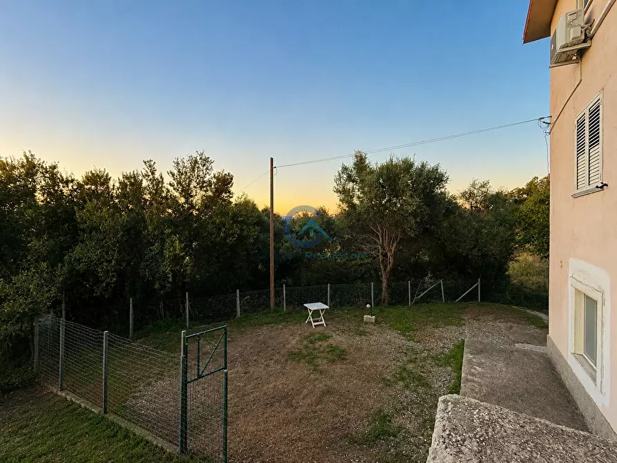 Immagine 5 di Appartamento in vendita  a Catanzaro
