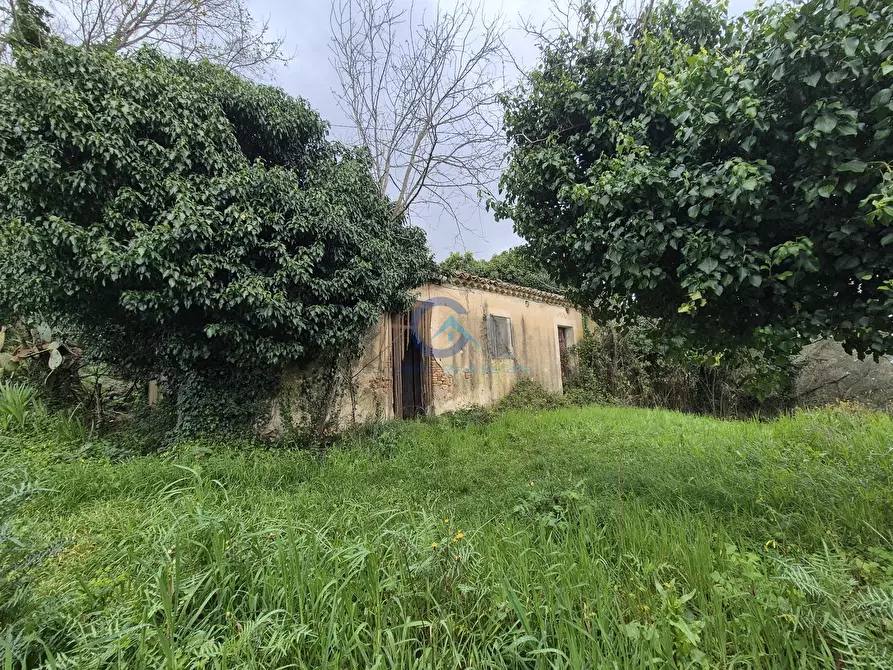 Immagine 6 di Magazzino in vendita  in CONTRADA CERASIA a Borgia