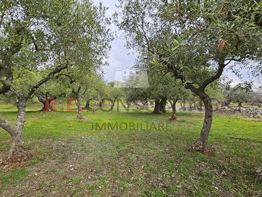 Immagine 20 di Rustico / casale in vendita  a Martina Franca