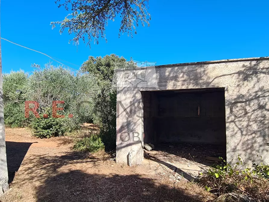 Immagine 23 di Villa in vendita  in SP49 108 a Martina Franca