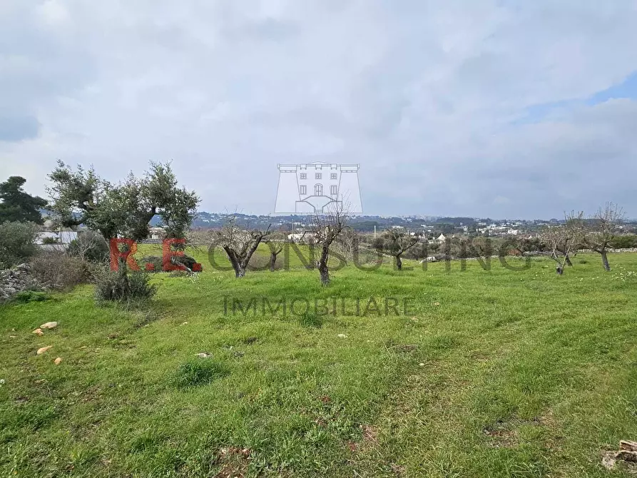 Immagine 10 di Rustico / casale in vendita  a Martina Franca