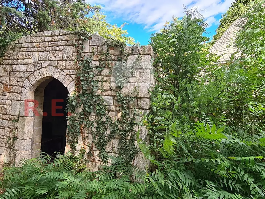 Immagine 36 di Baita in vendita  in Contrada Ulmo sn a Ceglie Messapico