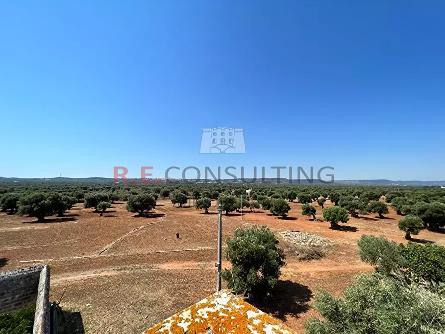 Immagine 6 di Rustico / casale in vendita  in Contrada Santatoce sn a Ostuni