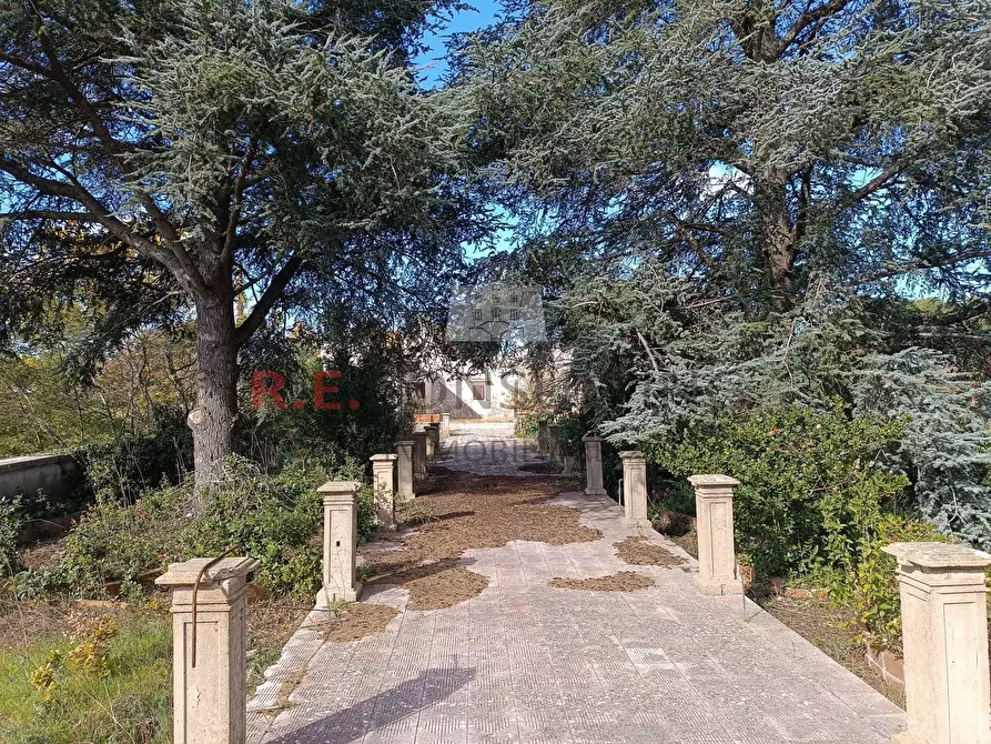 Immagine 26 di Villa in vendita  in SS172 24 a Martina Franca