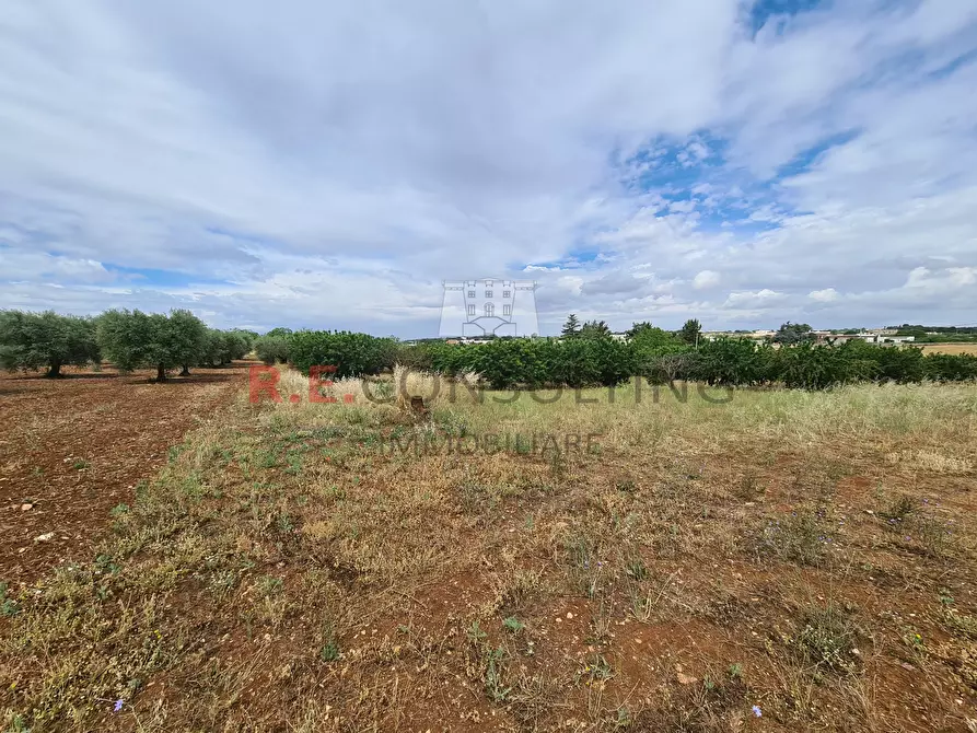 Immagine 19 di Baita in vendita  in Via ospedale a Martina Franca