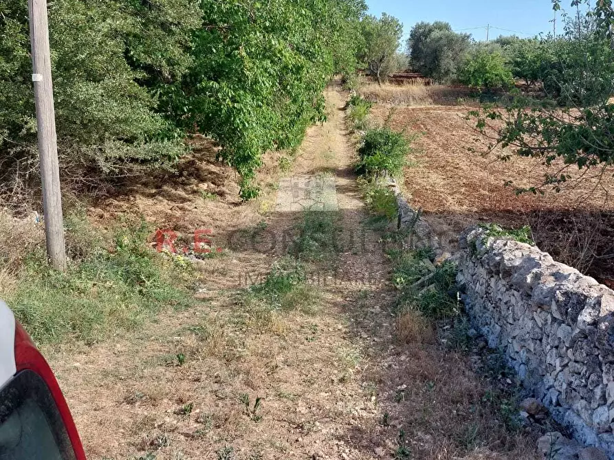 Immagine 8 di Casa indipendente in vendita  in strada sacramento a Ceglie Messapico