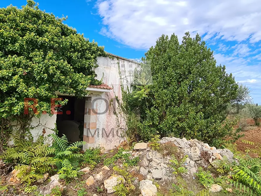 Immagine 12 di Baita in vendita  in Contrada Ulmo sn a Ceglie Messapico