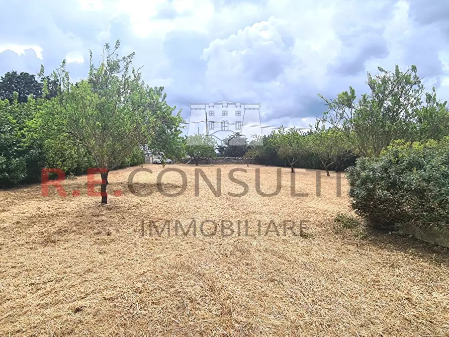 Immagine 16 di Rustico / casale in vendita  a Martina Franca