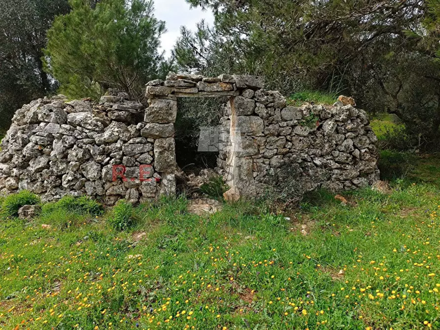 Immagine 3 di Baita in vendita  in strada provinciale 23 a Martina Franca