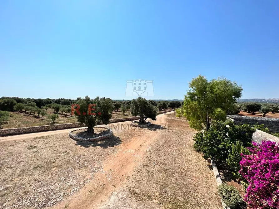 Immagine 34 di Rustico / casale in vendita  in Contrada Santatoce sn a Ostuni
