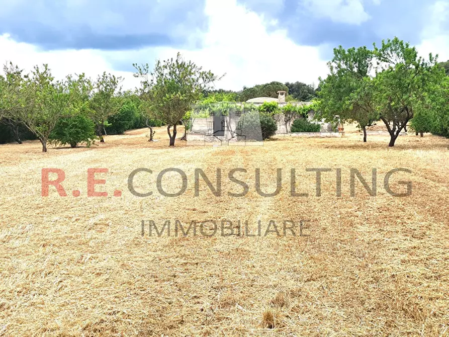 Immagine 8 di Rustico / casale in vendita  a Martina Franca