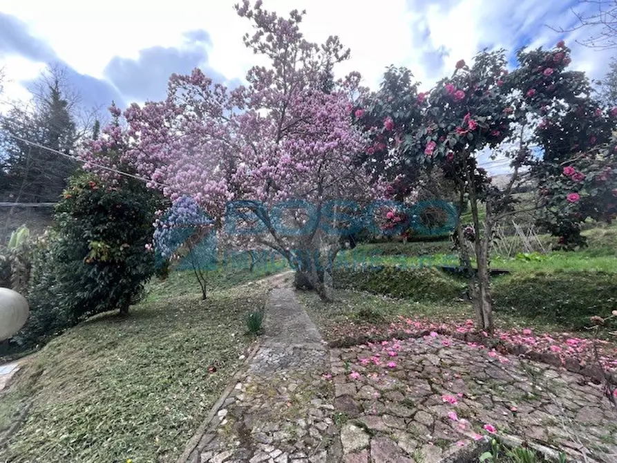 Immagine 6 di Casa indipendente in vendita  in Via II Giugno 46 a Follo