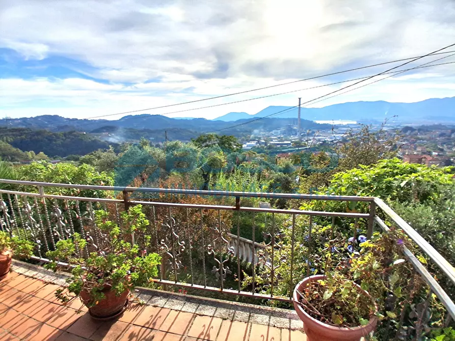 Immagine 17 di Casa bifamiliare in vendita  in Via Elso Sommovigo a Arcola