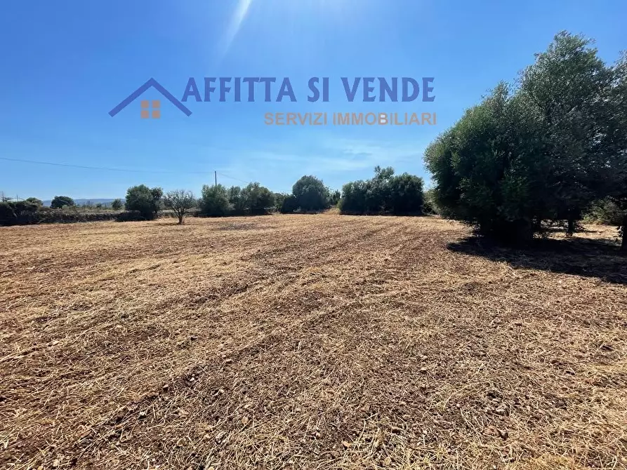Immagine 15 di Terreno agricolo in vendita  in Traversa Maeggio di Sopra a Siracusa