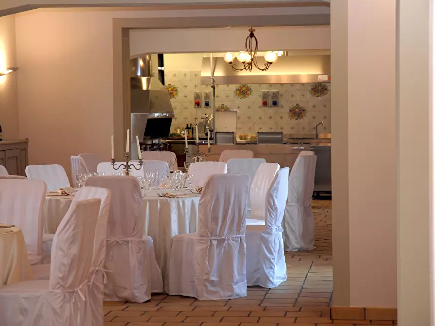 Immagine 15 di Azienda agricola in affitto  a Città Sant'angelo