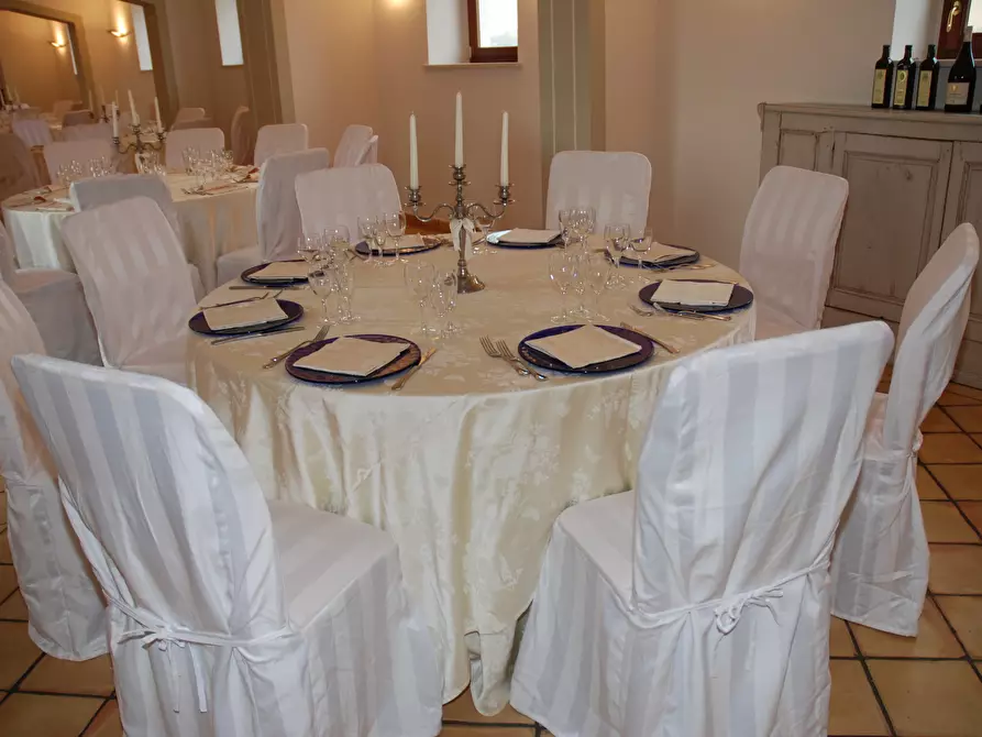 Immagine 16 di Azienda agricola in affitto  a Città Sant'angelo